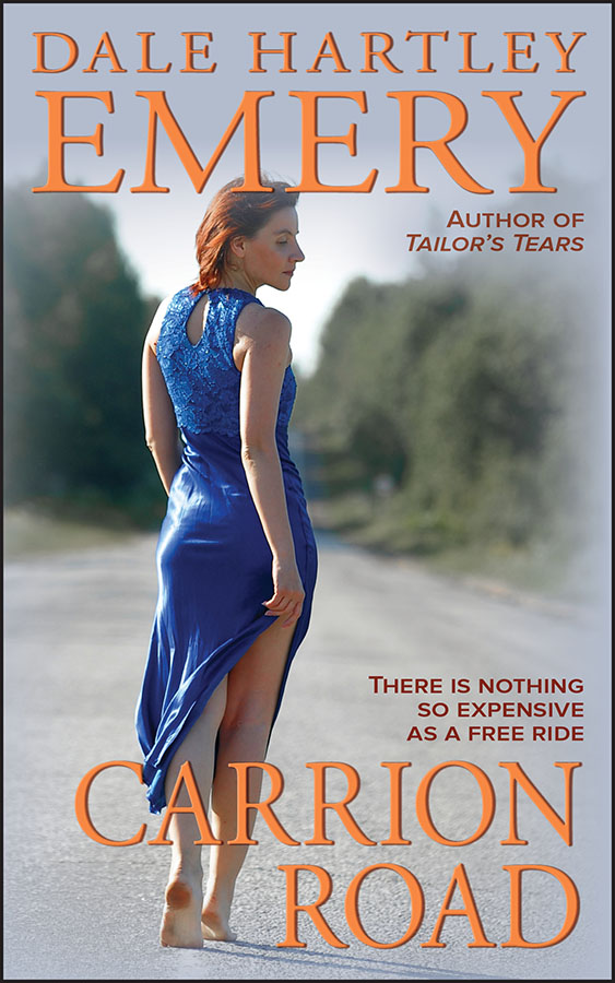 Cover image for Carrion Road